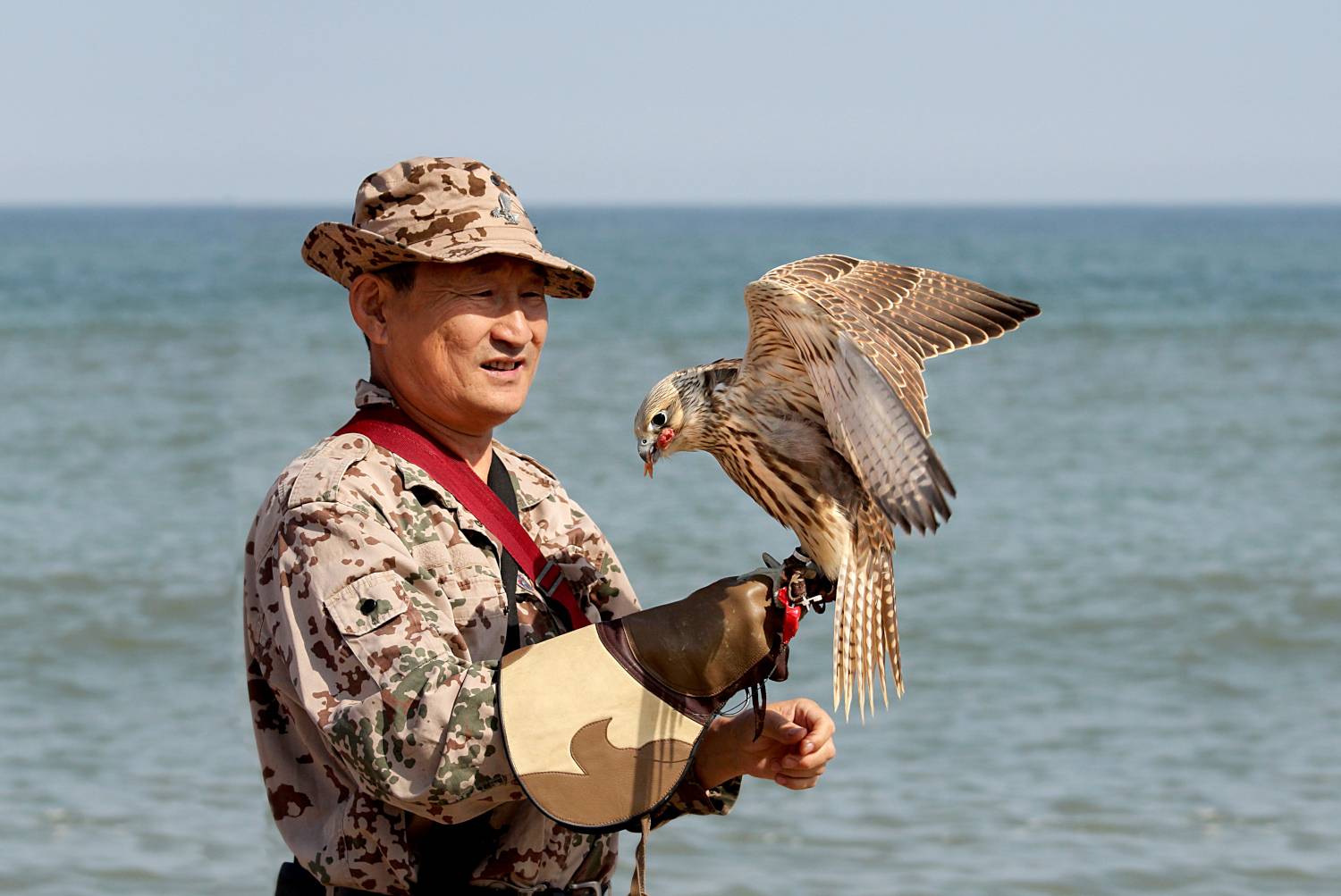 Фотография #13206180