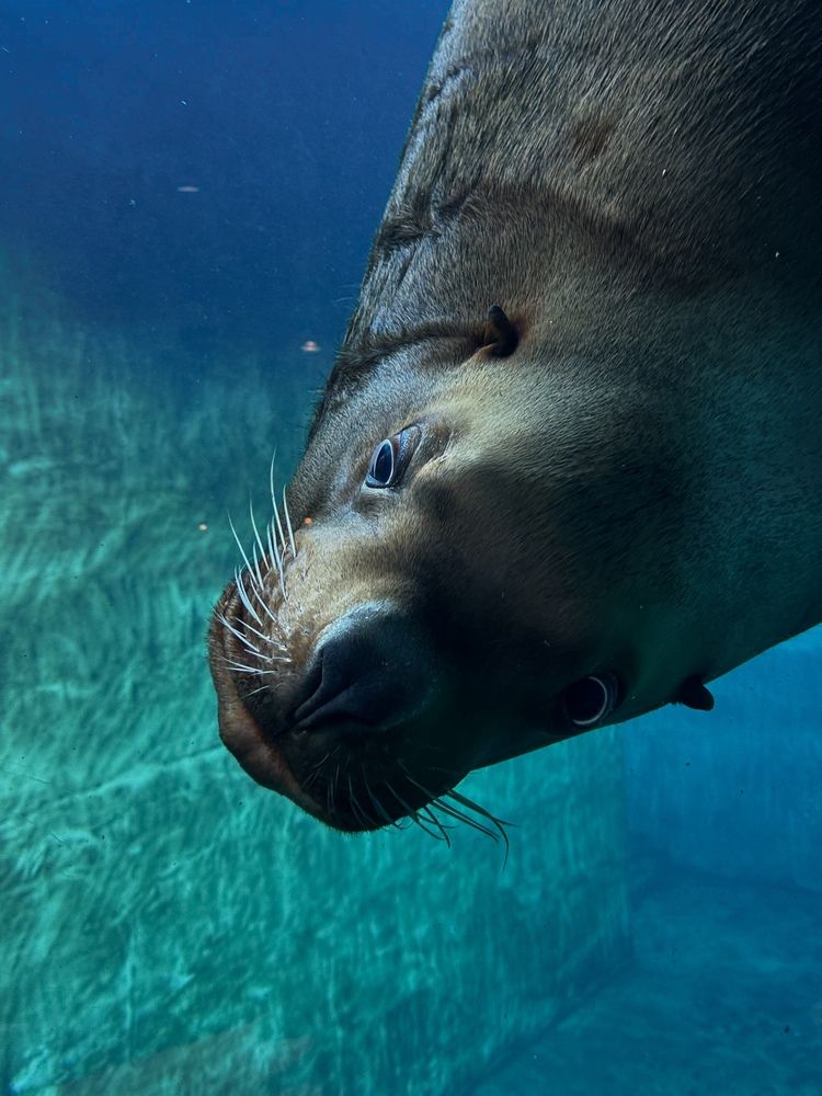 Photograph by Олеся Легостаева