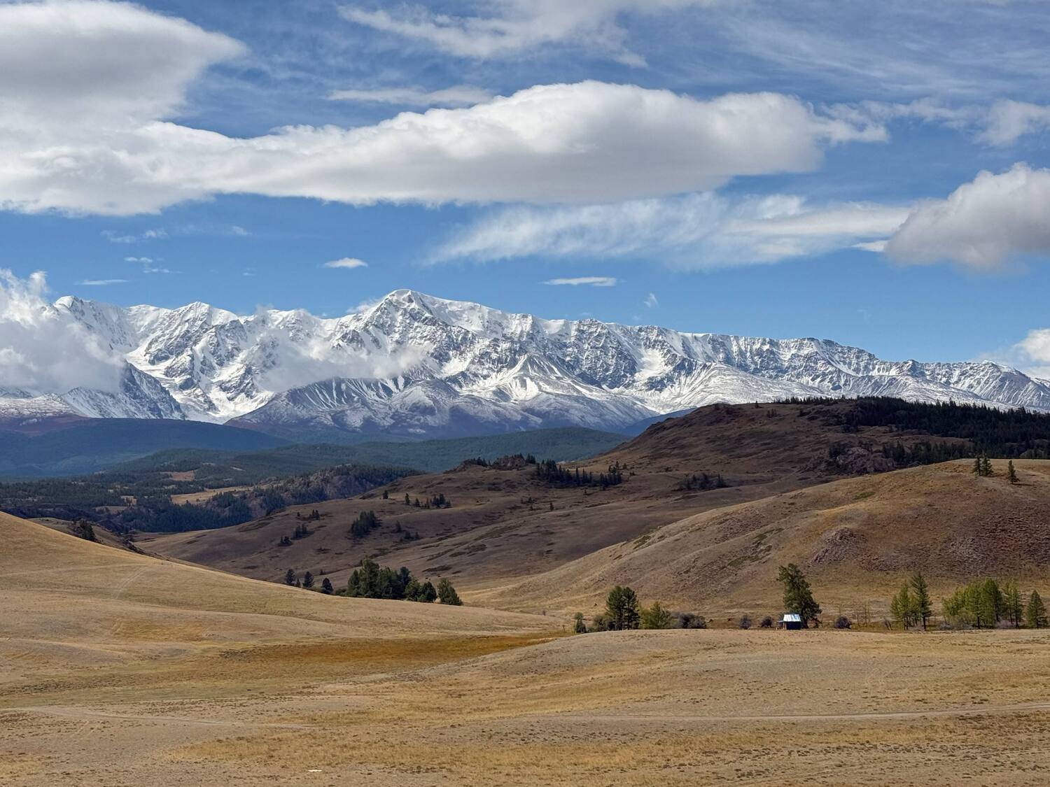 Фотография #13206217