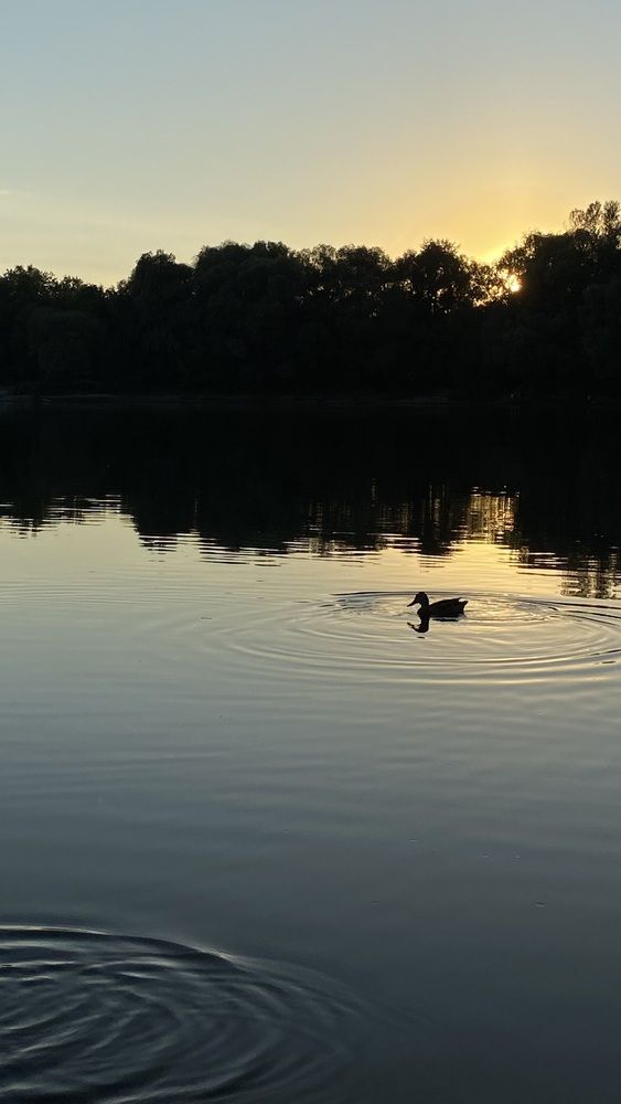 Photograph by ALESIA KUKHARENKA