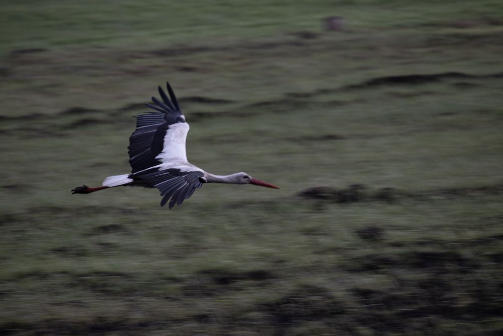 Photograph by Викулов Сергей