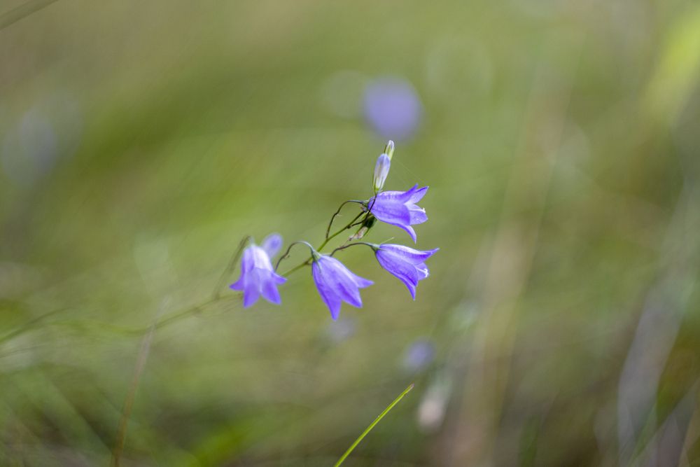 Photograph by Викулов Сергей