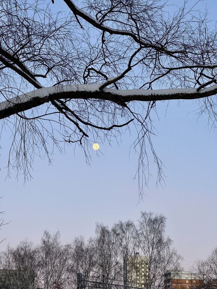 Photograph by Олеся Легостаева