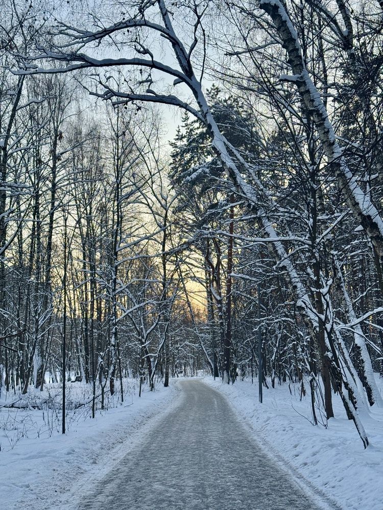 Photograph by Олеся Легостаева