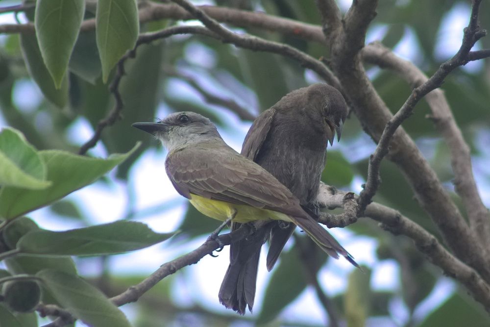 Фотография автора Guillermo Topp