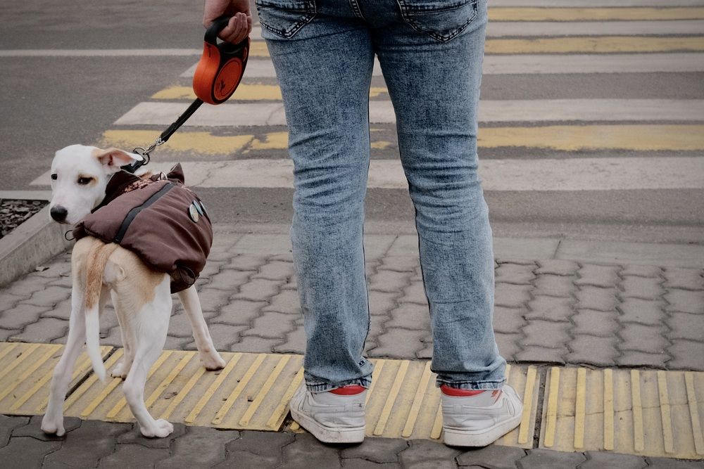 Photograph by Глеб Лихачев