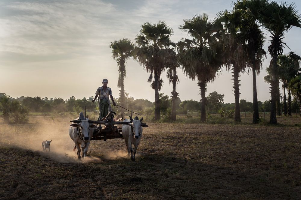 Photograph by Ольга Католичук