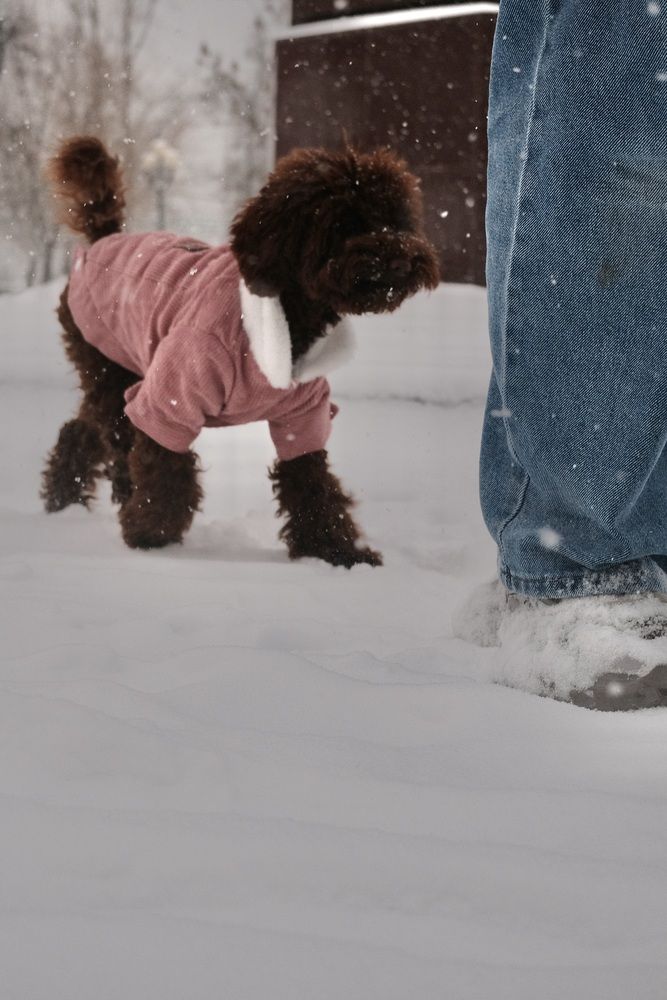 Photograph by Глеб Лихачев