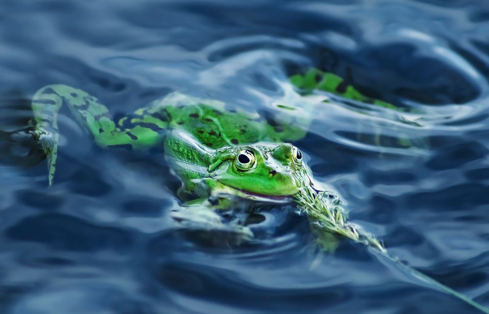 Photograph by Дарья Яновцева