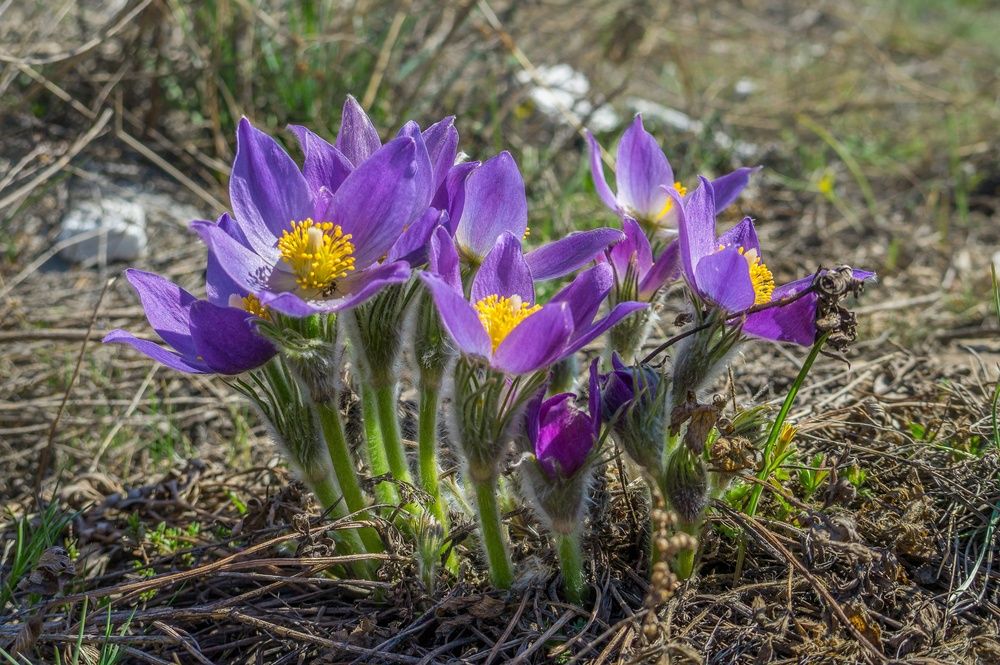 Photograph by Валерий Федяров