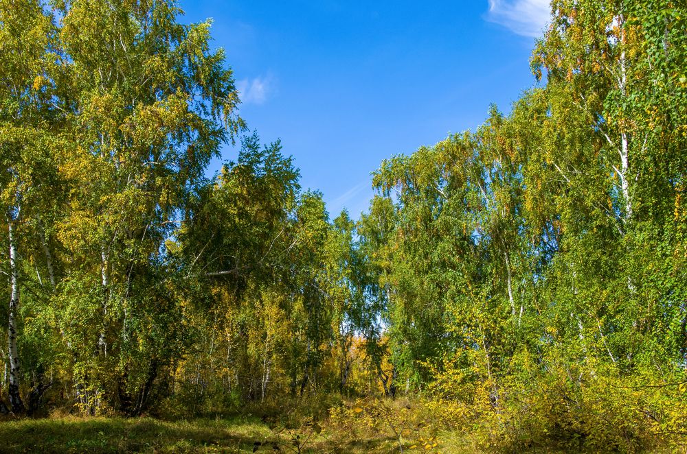 Photograph by Валерий Федяров