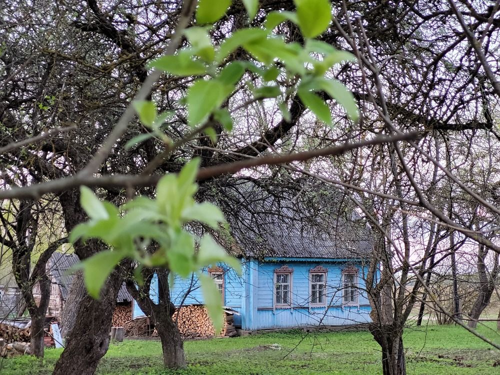 Photograph by Alexandr Gorelenkov