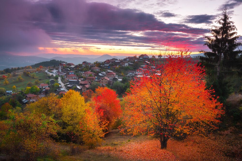“When the Mountain Breathes in Colors”, Rhodope Mountains, Bulgaria