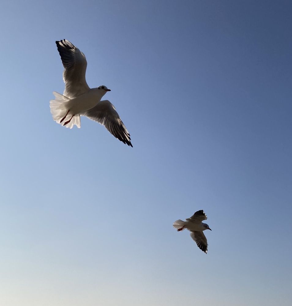 Photograph by Марина Колядина