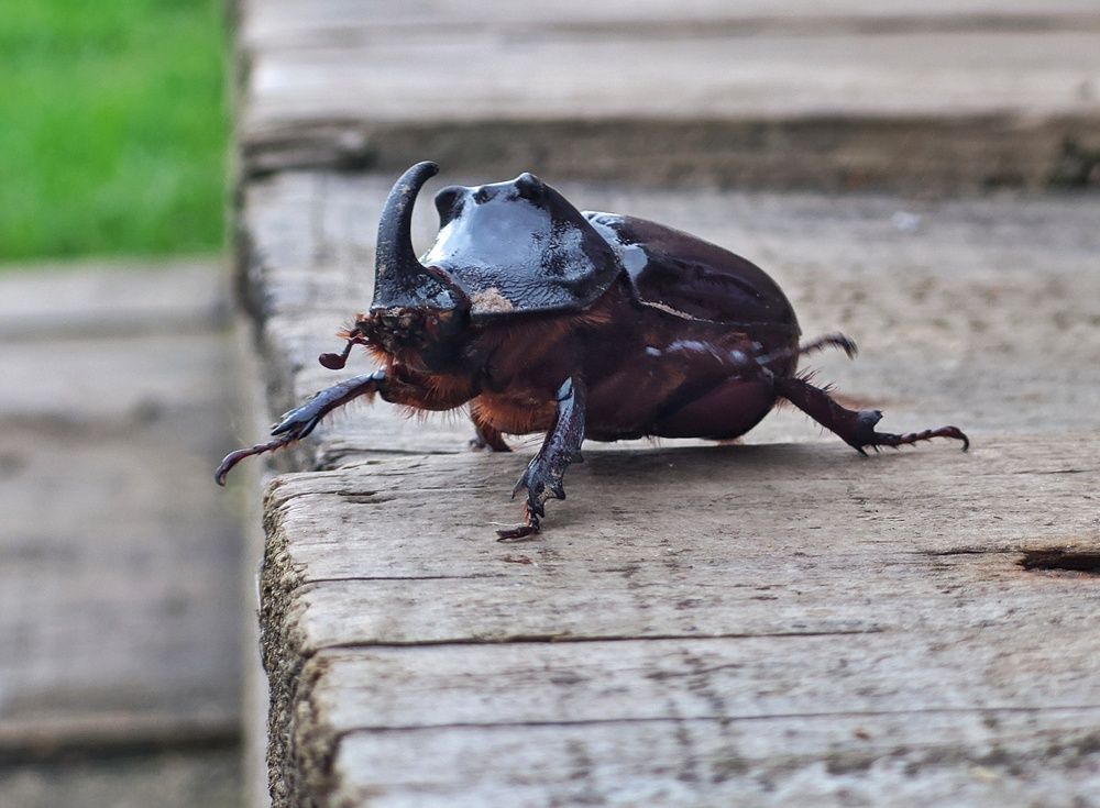 Photograph by Alexandr Gorelenkov