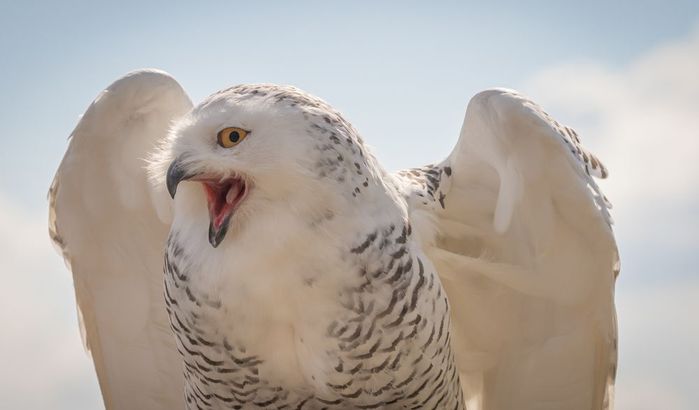 Photograph by Дария Максимова