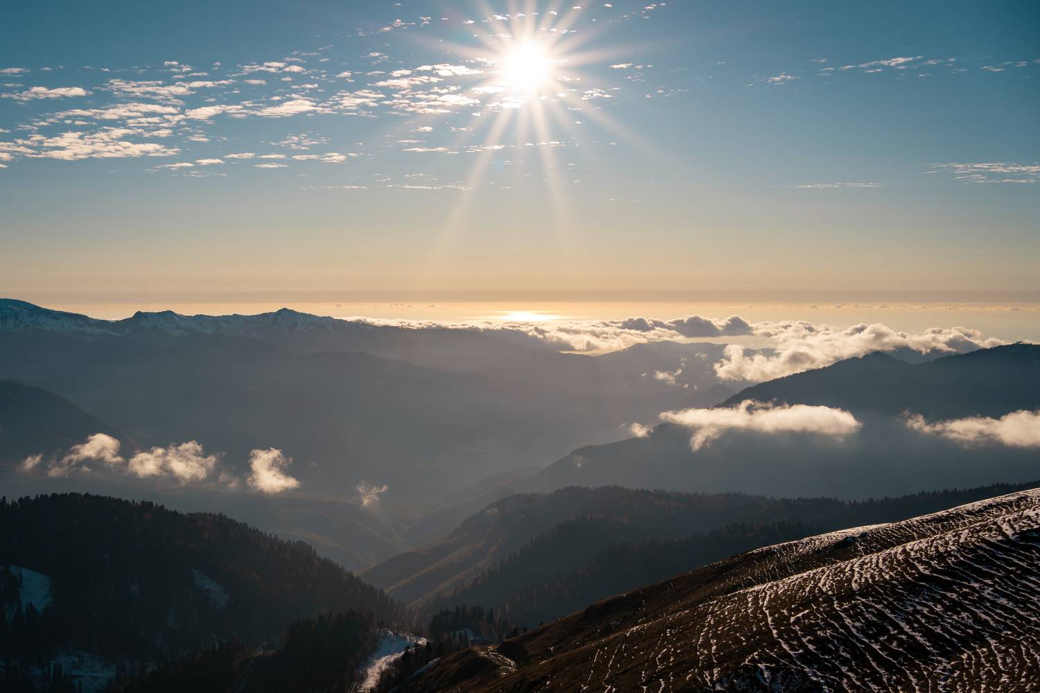 Photo #13206526