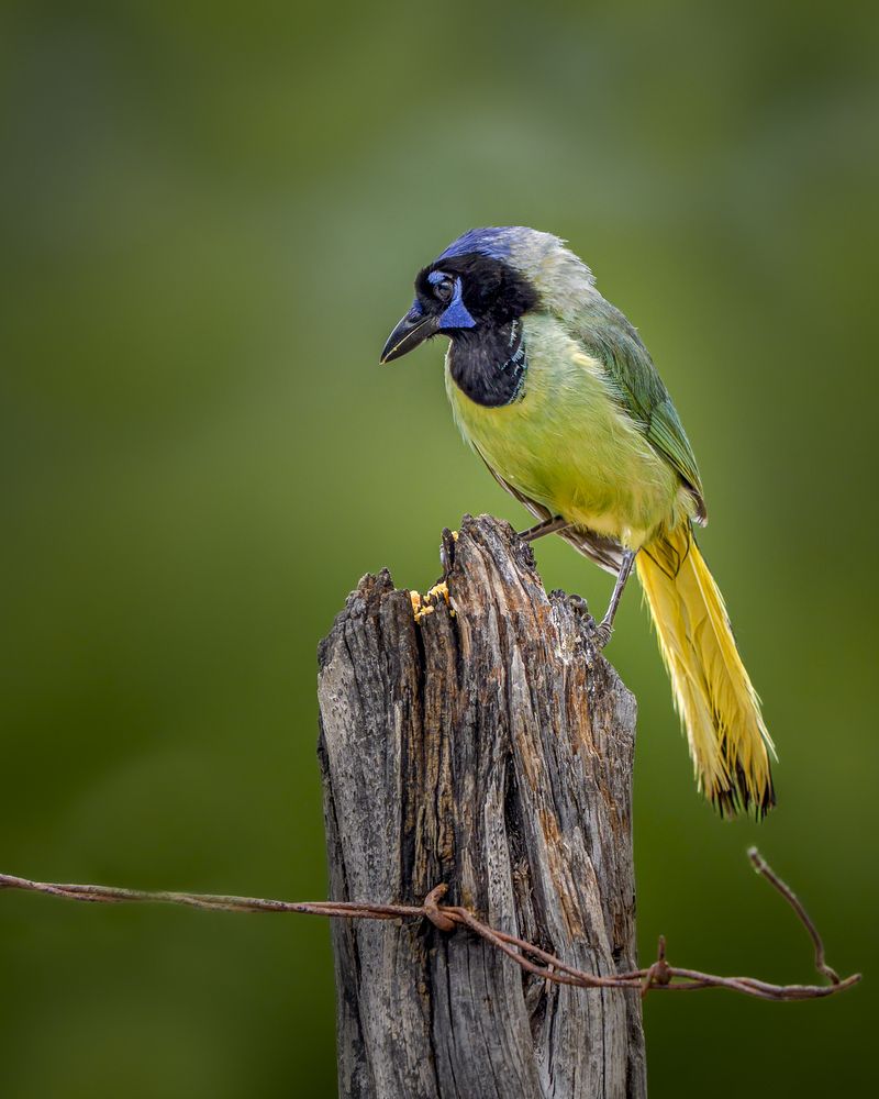 Photograph by Angie Birmingham