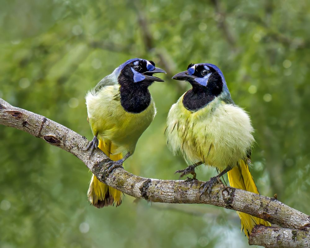 Photograph by Angie Birmingham