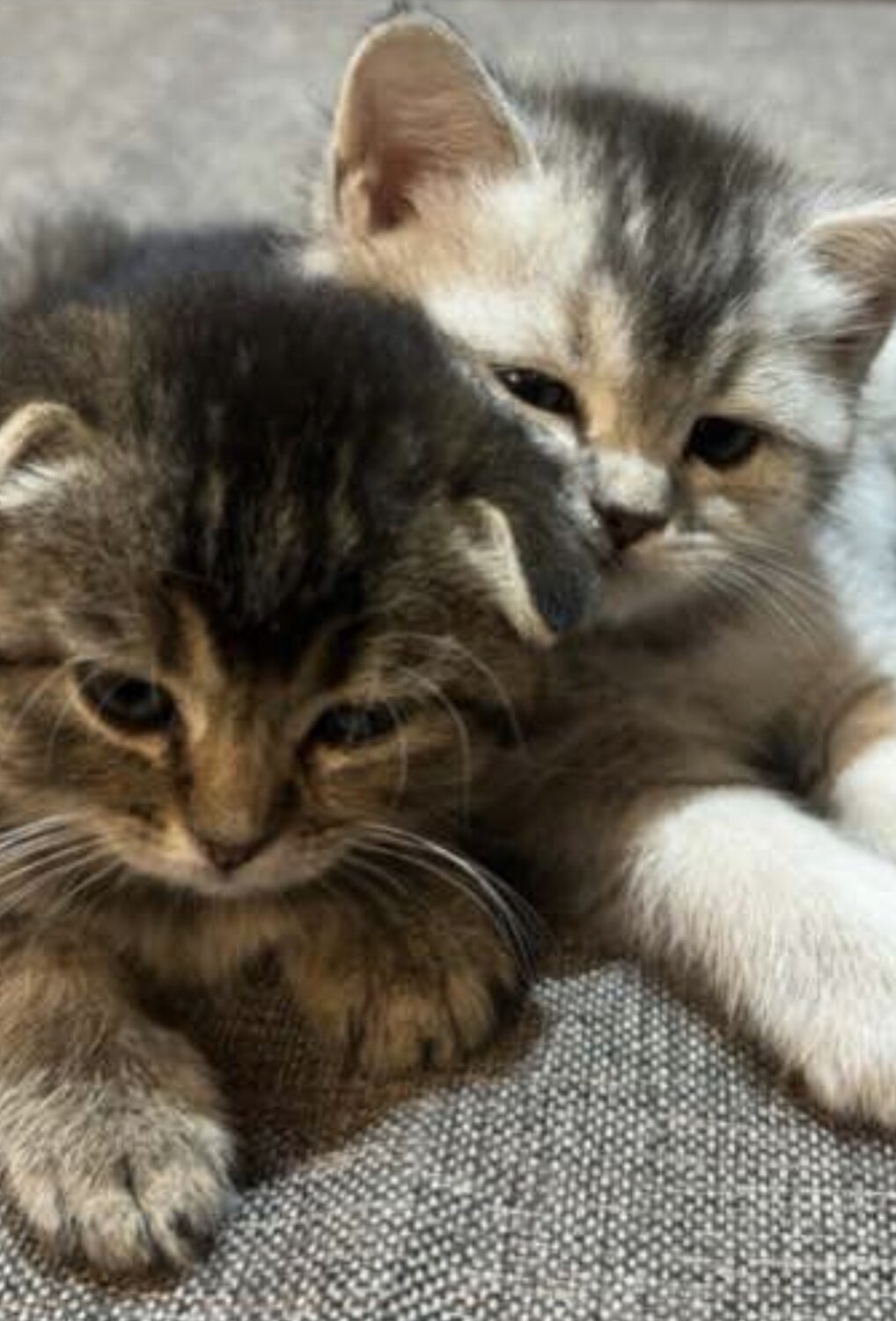 Photo #13206536
