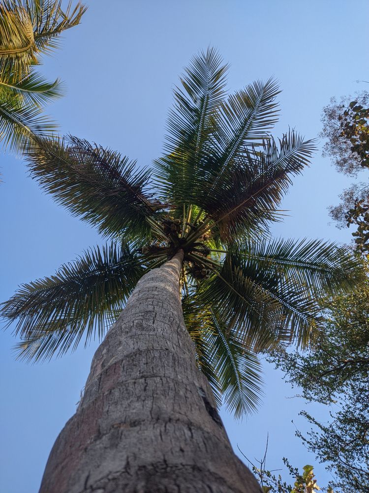 Фотография автора Vijayakumar