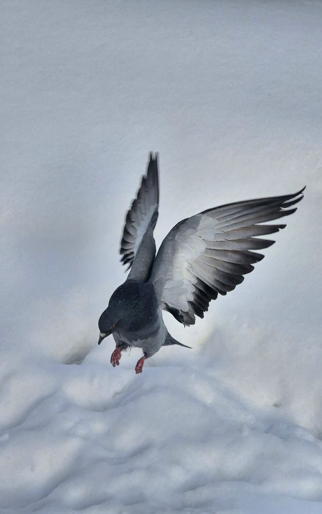 Photograph by Валентина Кузьменко