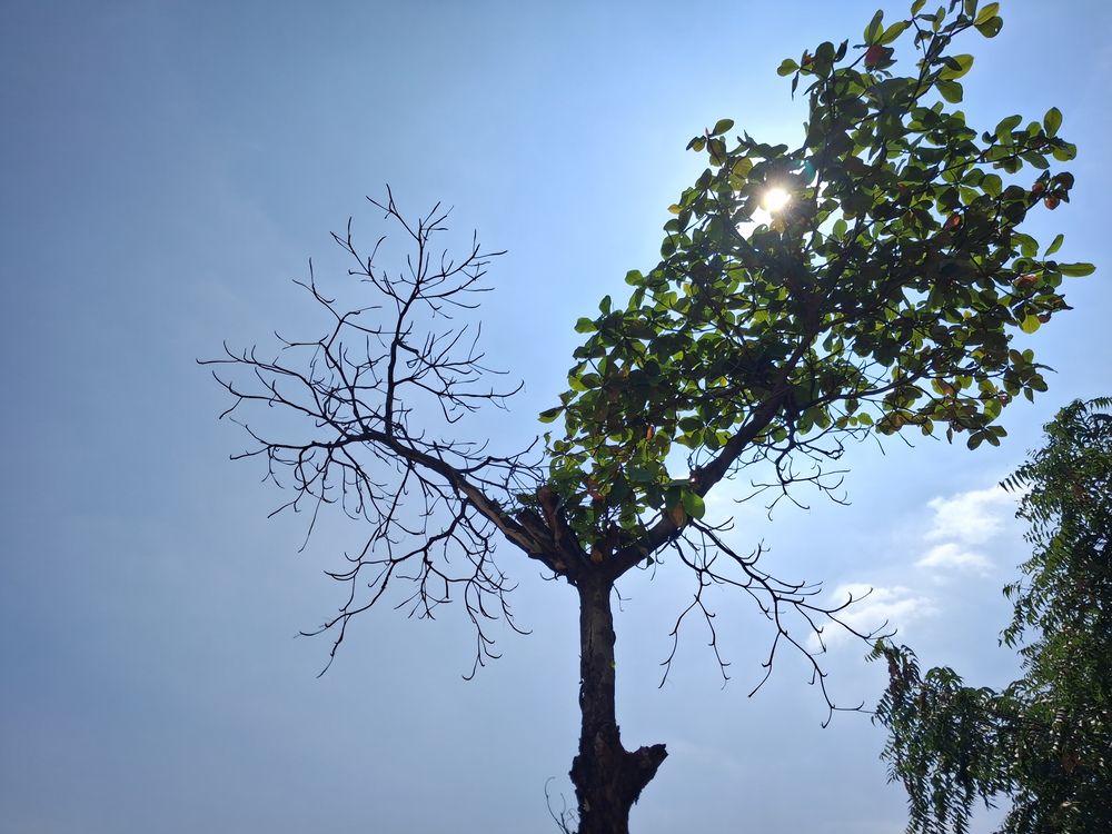 Фотография автора Vijayakumar