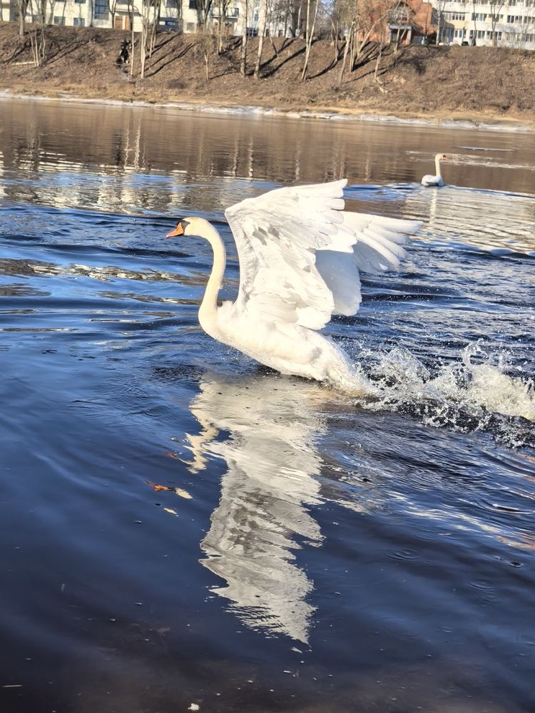 Фотография автора Александр Сипаров