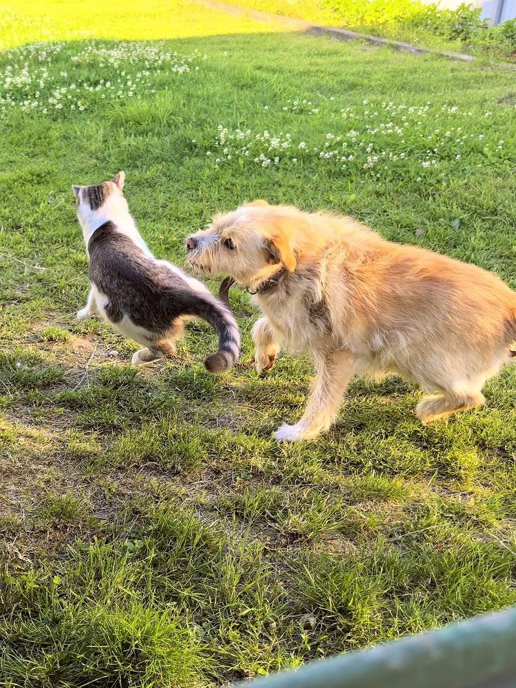 Фотография автора Александр Сипаров