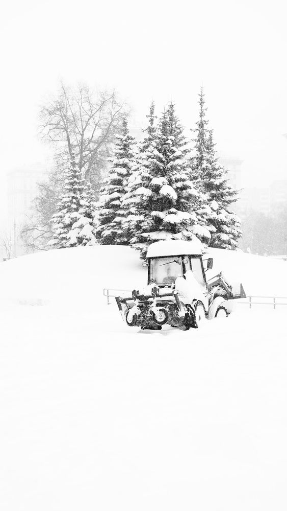 Photo #13206568