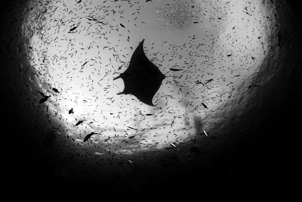 Photograph by ANTONIO RUVER BANDEIRA