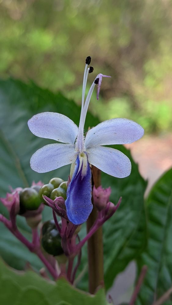 Фотография автора Vijayakumar