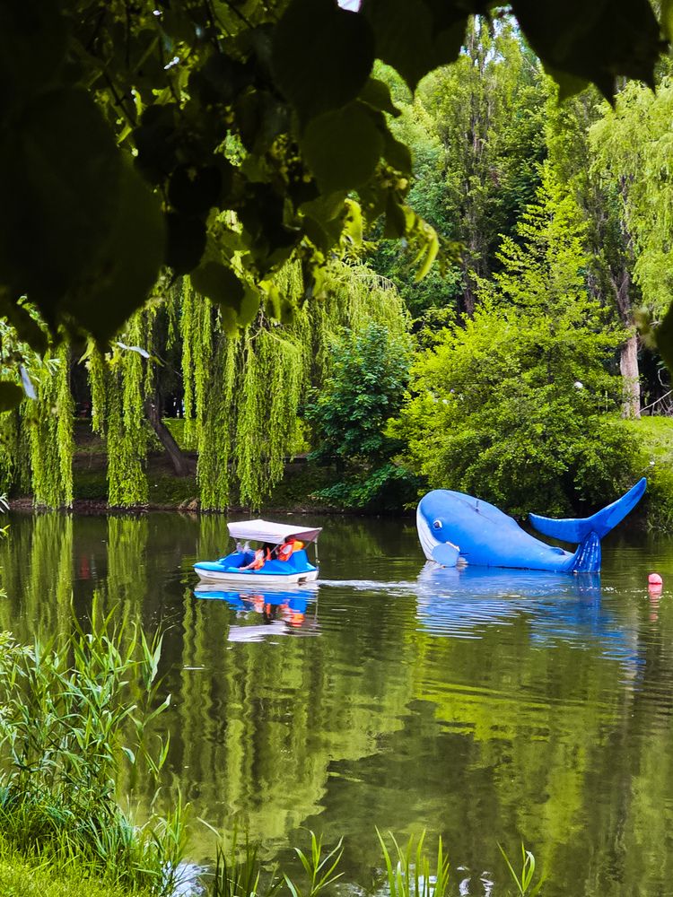 Photograph by Ирина Хлебникова