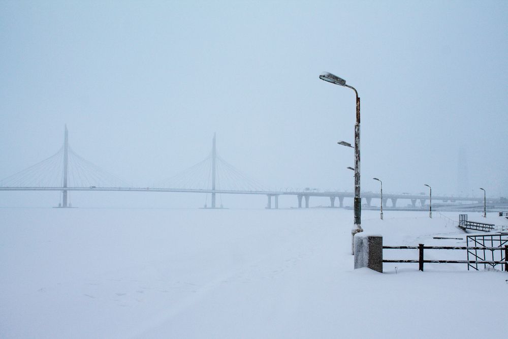 Photo #13206611