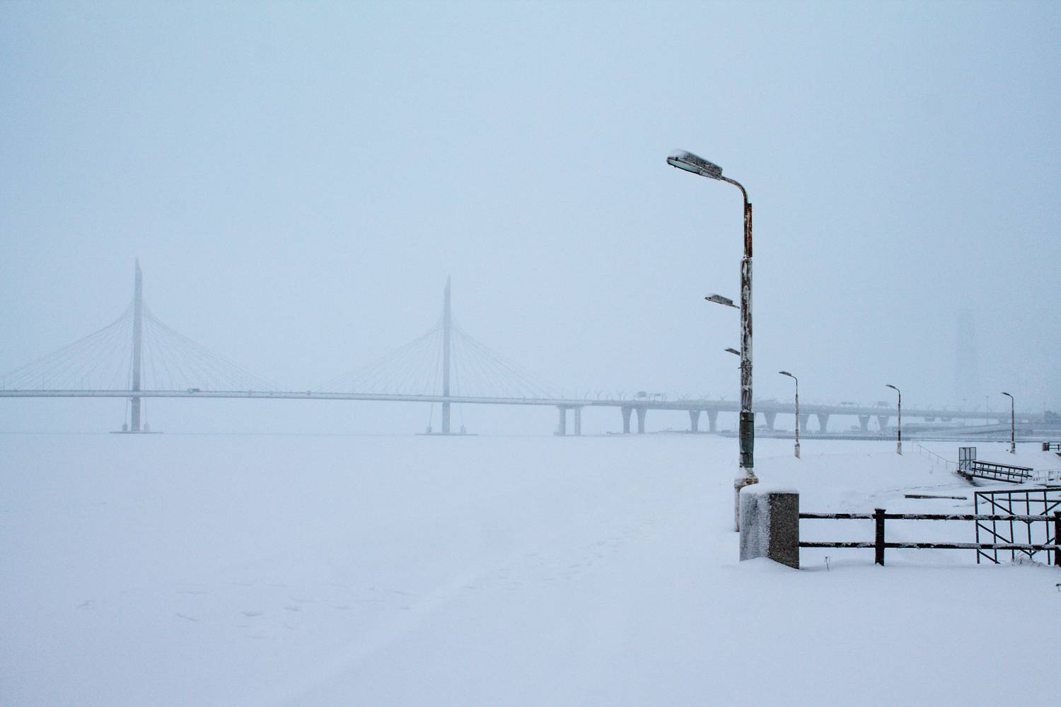 Photo #13206611