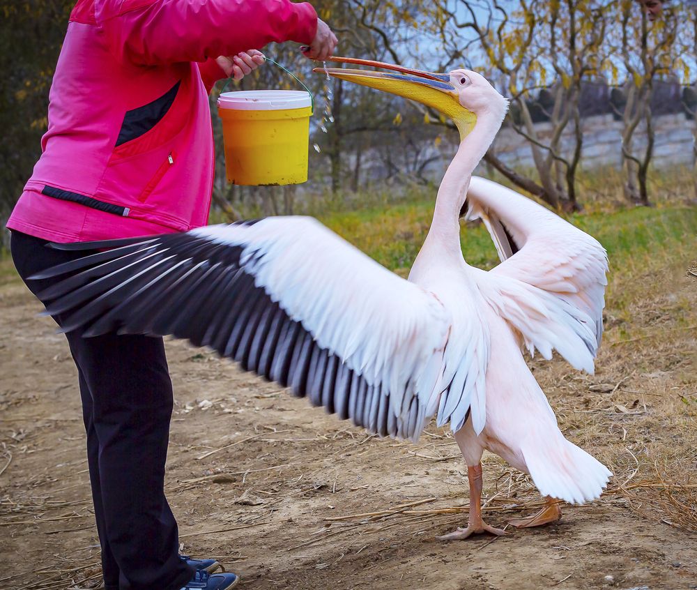 Photograph by Иван Логвинов