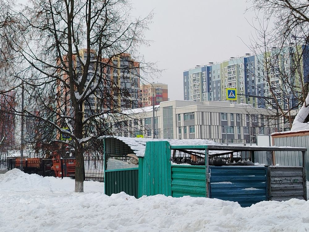 Photograph by Анастасия Туркина
