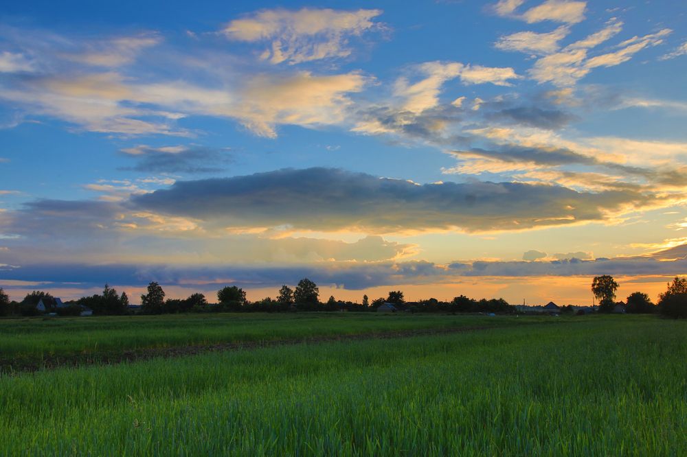 Photograph by Николай Протасеня