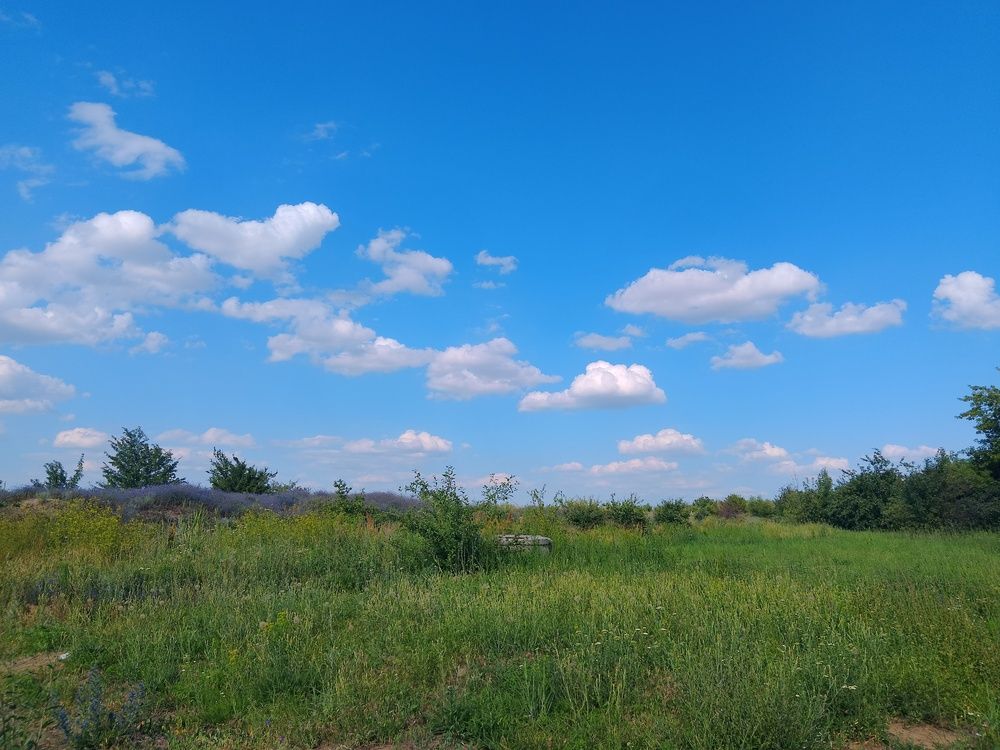Photo #13206776