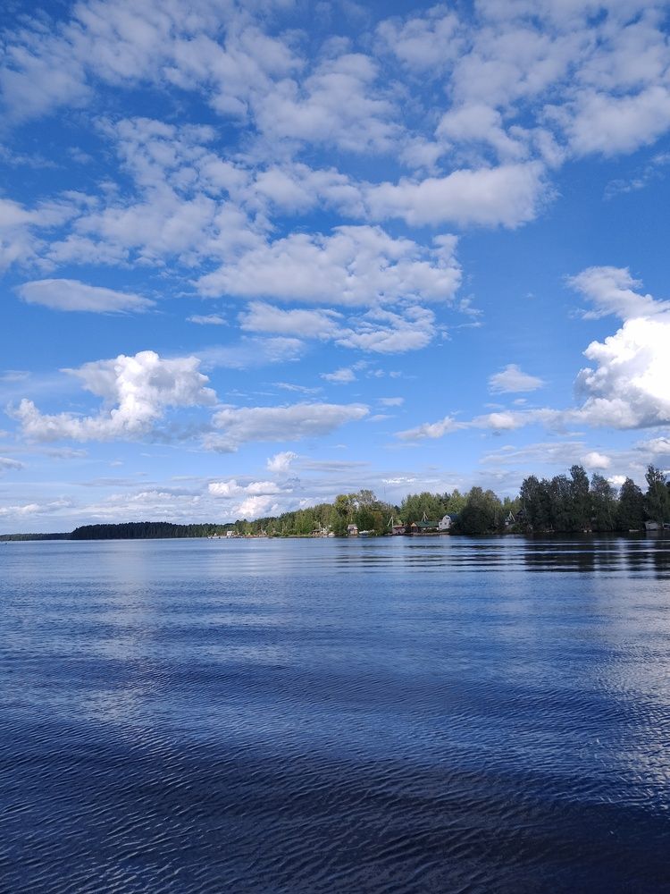 Photo #13206780