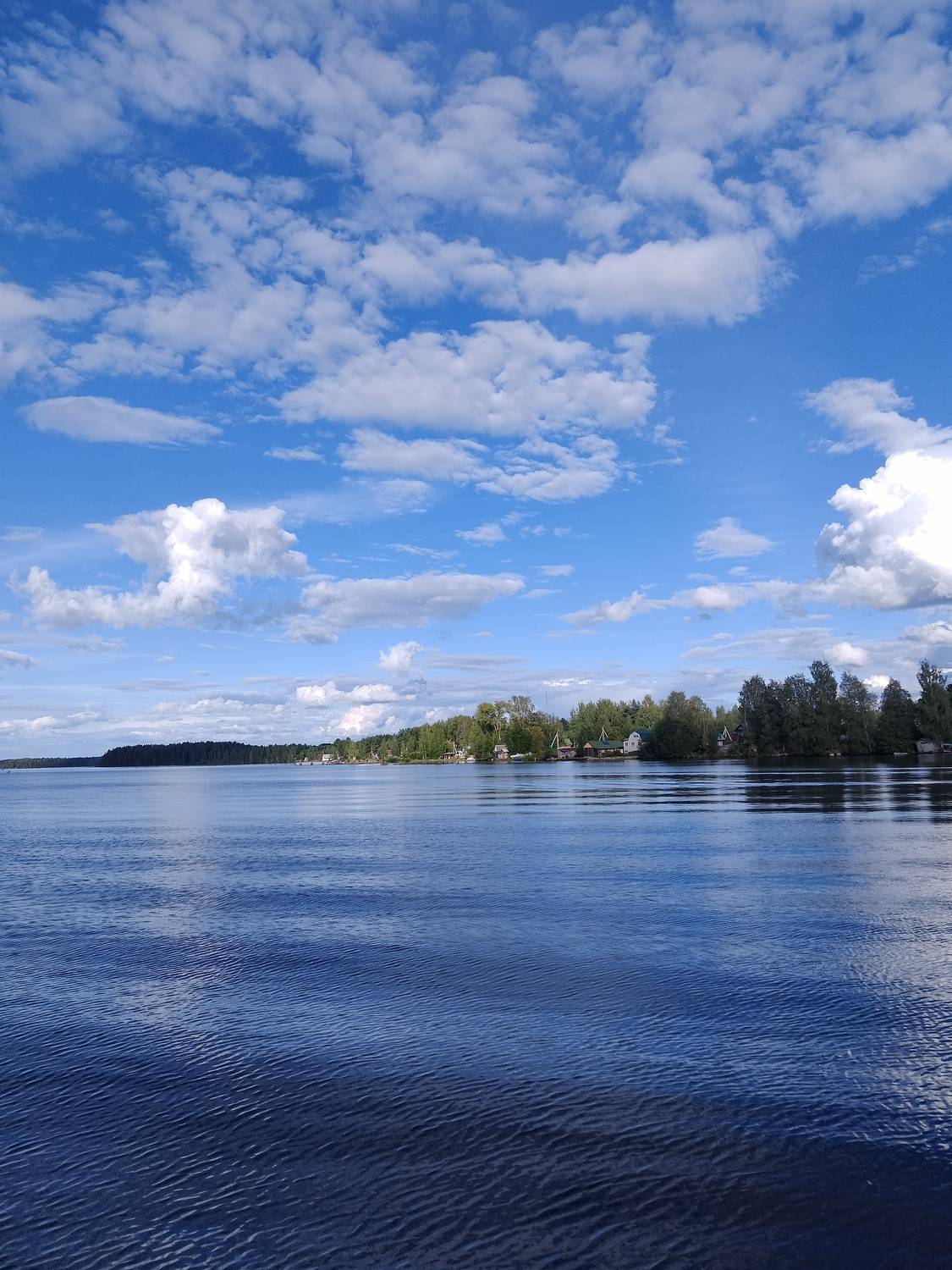 Photo #13206780