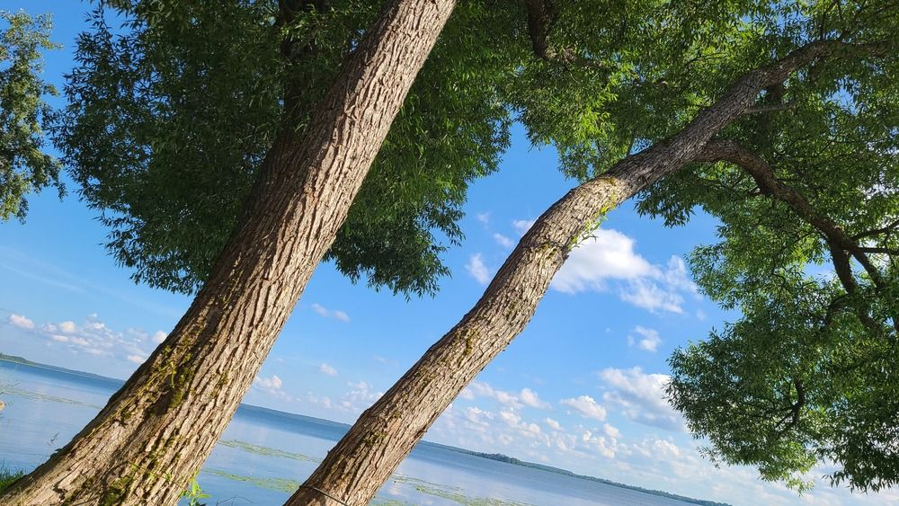 Photograph by Сергей Щебетов