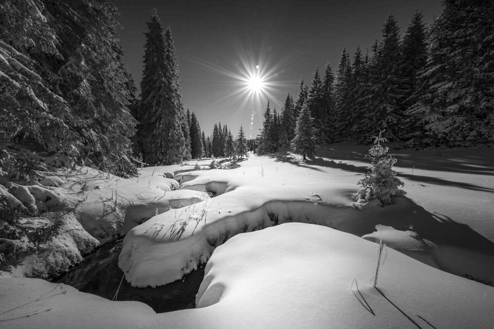 Photograph by Mariyana Atanasova - Lucero