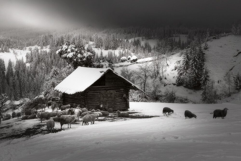 Photograph by Mariyana Atanasova - Lucero