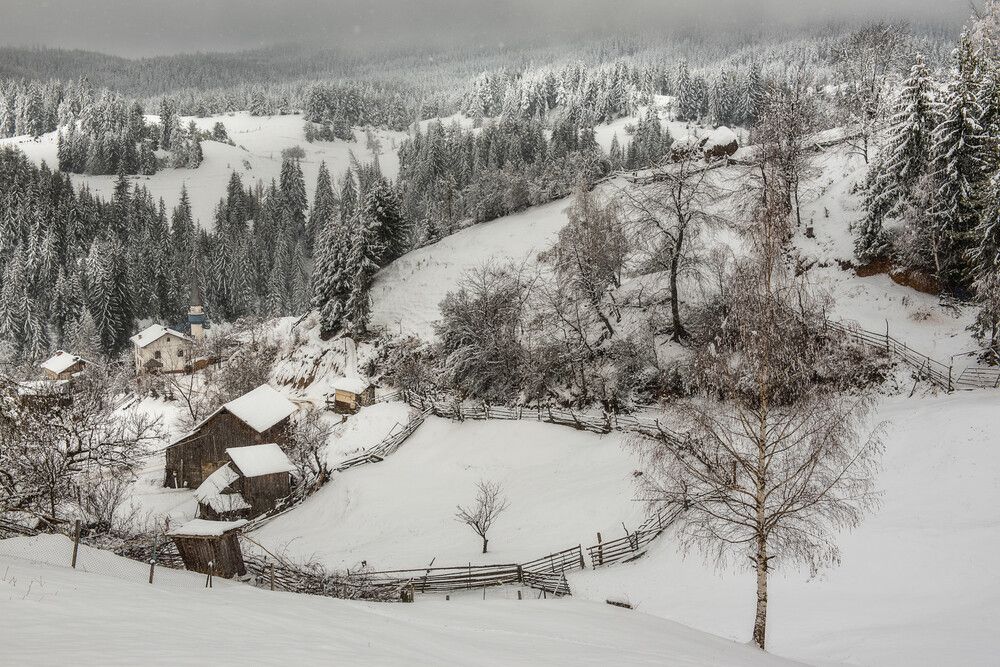 Фотография автора Mariyana Atanasova - Lucero