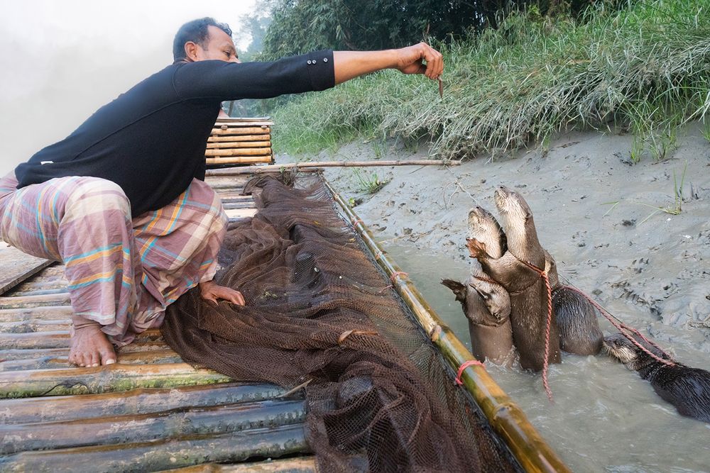 The Last Otter Fishers.