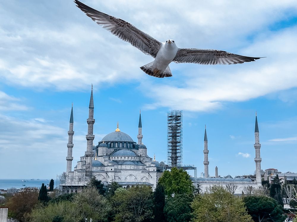 Фотография автора Екатерина Валиуллина