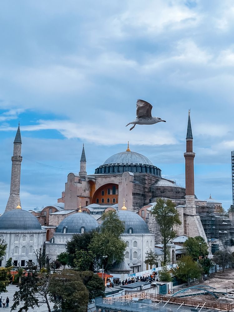 Фотография автора Екатерина Валиуллина