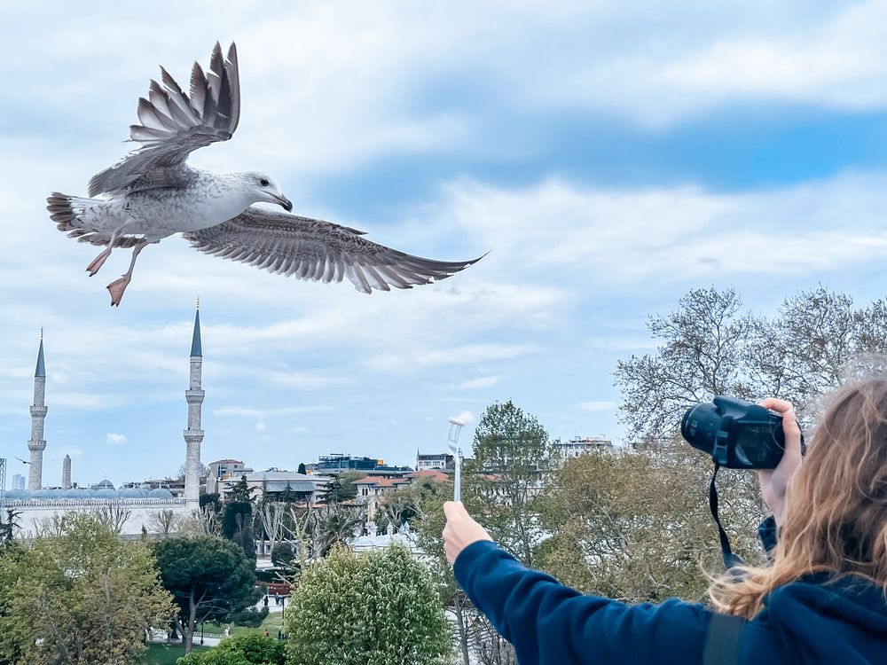 Фотография автора Екатерина Валиуллина