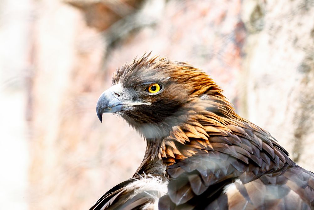 Фотография автора Dmitriy Frost